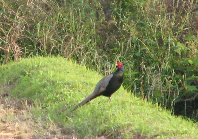 f0214527_1227937.jpg