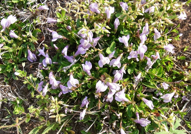f0214527_1272146.jpg