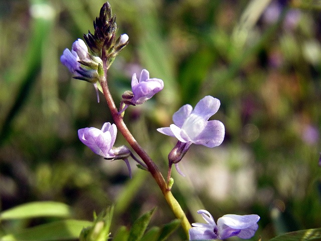 f0214527_1285841.jpg