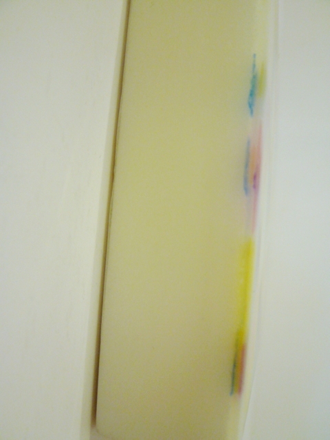 1521) 「山本雄基・個展 『グレーゾーンが踊っている』」 六花亭・福住店　終了4月1日（金）～4月30日（土)_f0126829_1181923.jpg