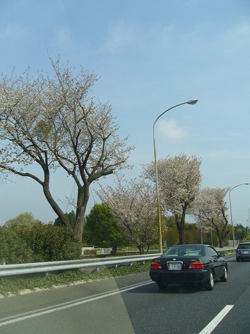 b0170931_22552590.jpg