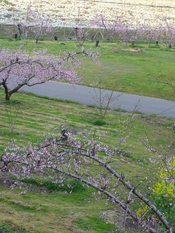 b0170931_23203170.jpg