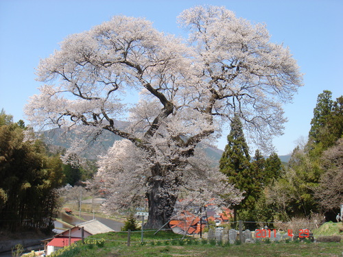 e0187838_17363790.jpg