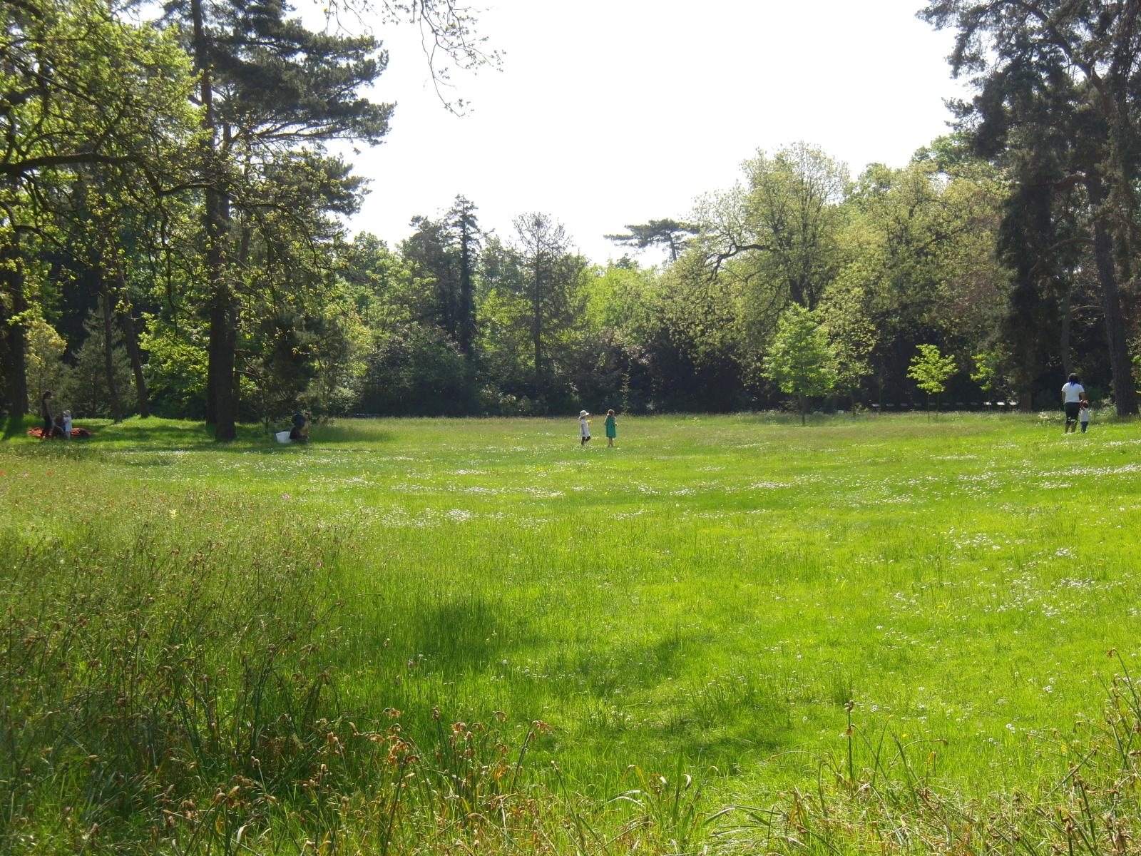 f0212143_22275145.jpg