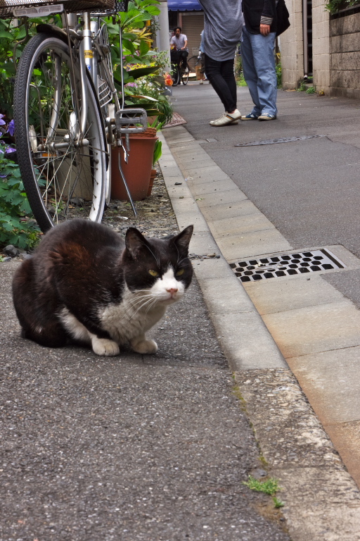 根津町歩き_d0029744_102251100.jpg