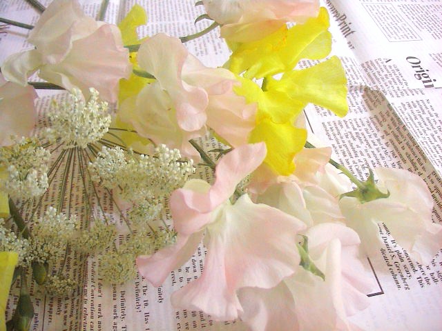 5月のお知らせ。_e0060555_023449.jpg
