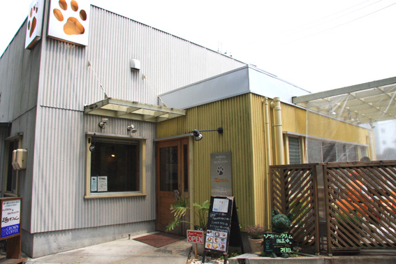 d0134156_19104345.jpg