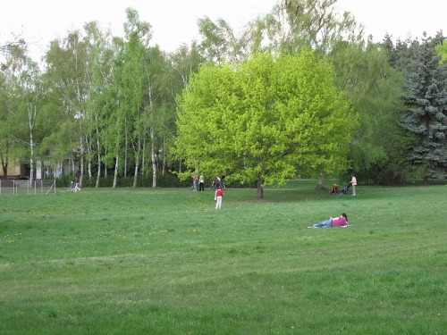 a0063364_2131348.jpg