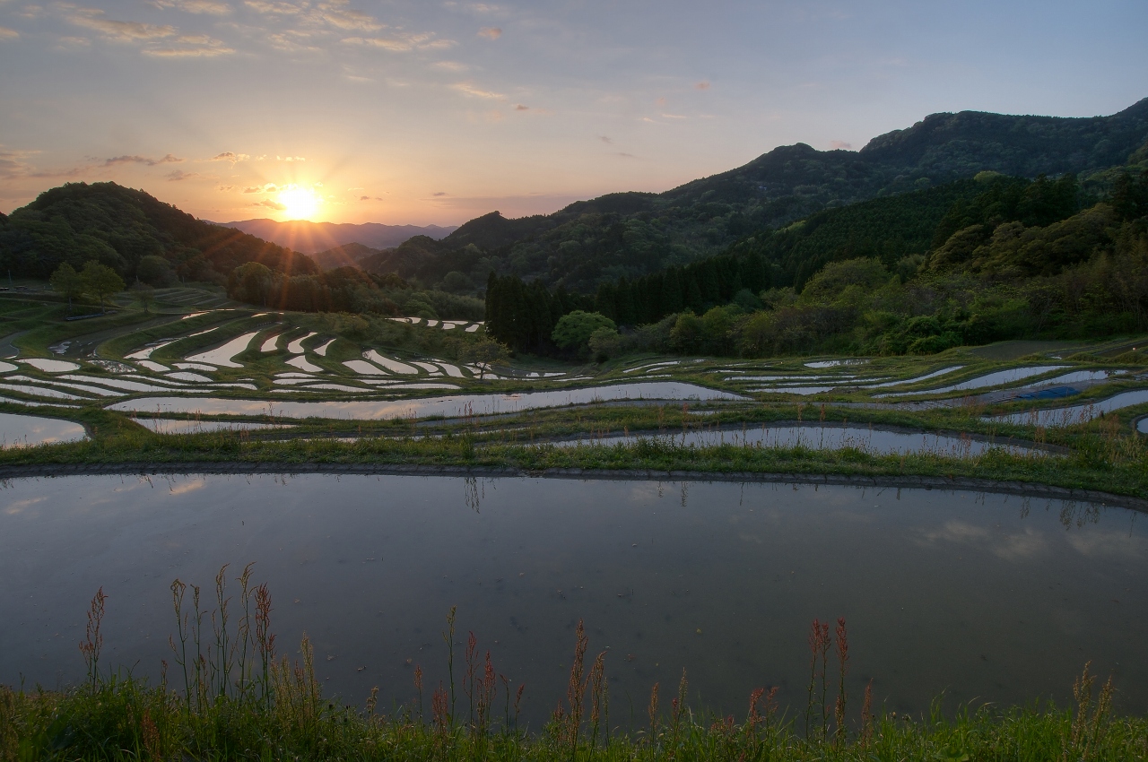 水張田の夜明け_f0018464_2221852.jpg