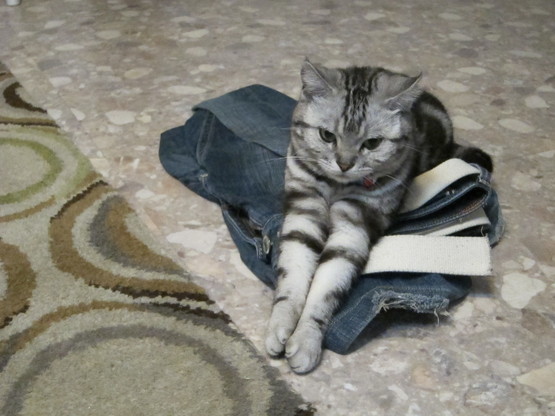 rainy season is coming._c0153966_17552389.jpg