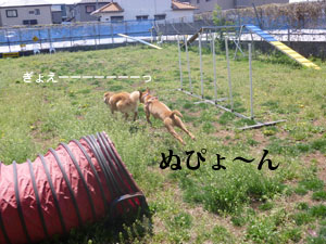 f0238772_15205435.jpg