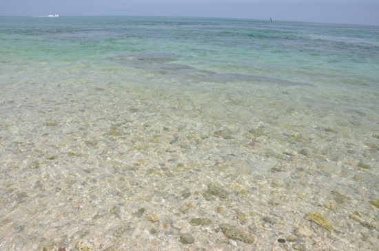 晴れました竹富島_e0171573_225815.jpg