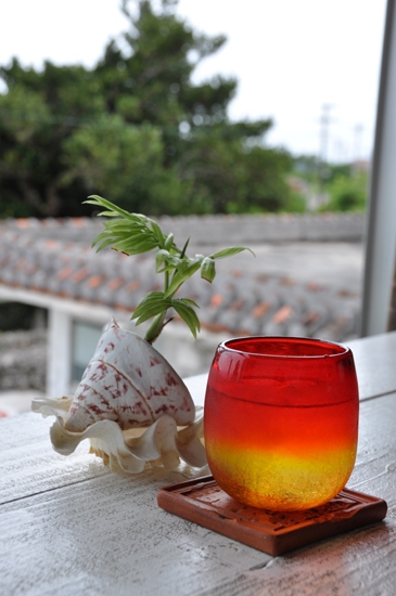 晴れました竹富島_e0171573_226284.jpg