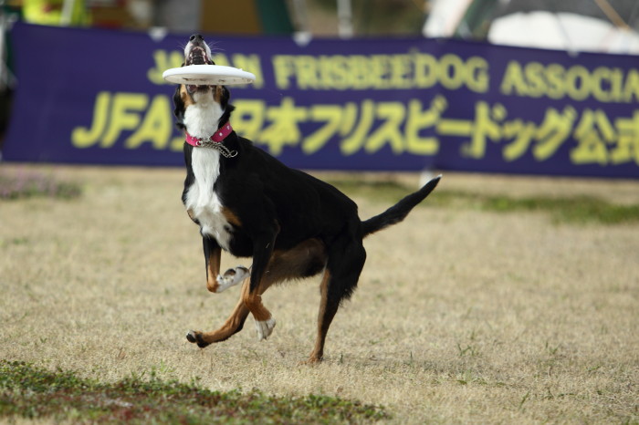 三重まで遊びに行きました_f0180075_14354563.jpg