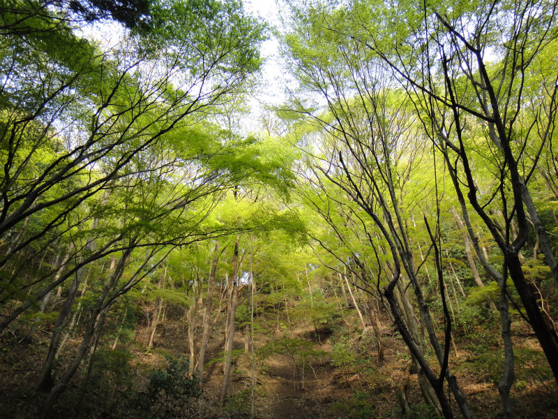 2011/04/24 Trail Session & Live_b0220886_12554196.jpg