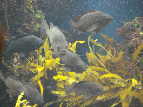 c0139388_14444145.jpg