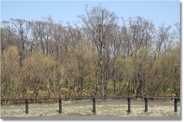 f0146493_23303912.jpg