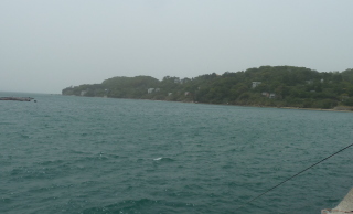 f0166694_1972431.jpg
