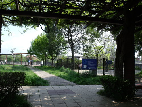 b0207698_17322236.jpg