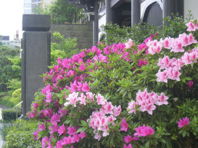 c0177198_1931557.jpg
