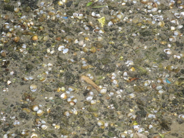 a0117599_00592.jpg