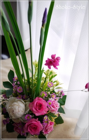 菖蒲の節句_a0135999_2323443.jpg