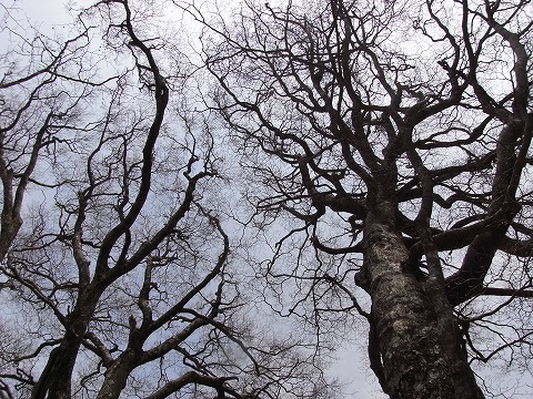 f0187402_13462272.jpg