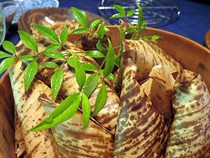 e0118904_2242719.jpg