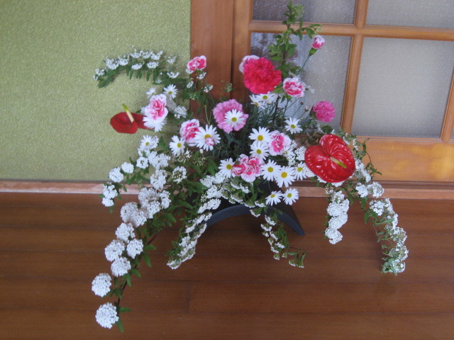 a0100706_2059533.jpg