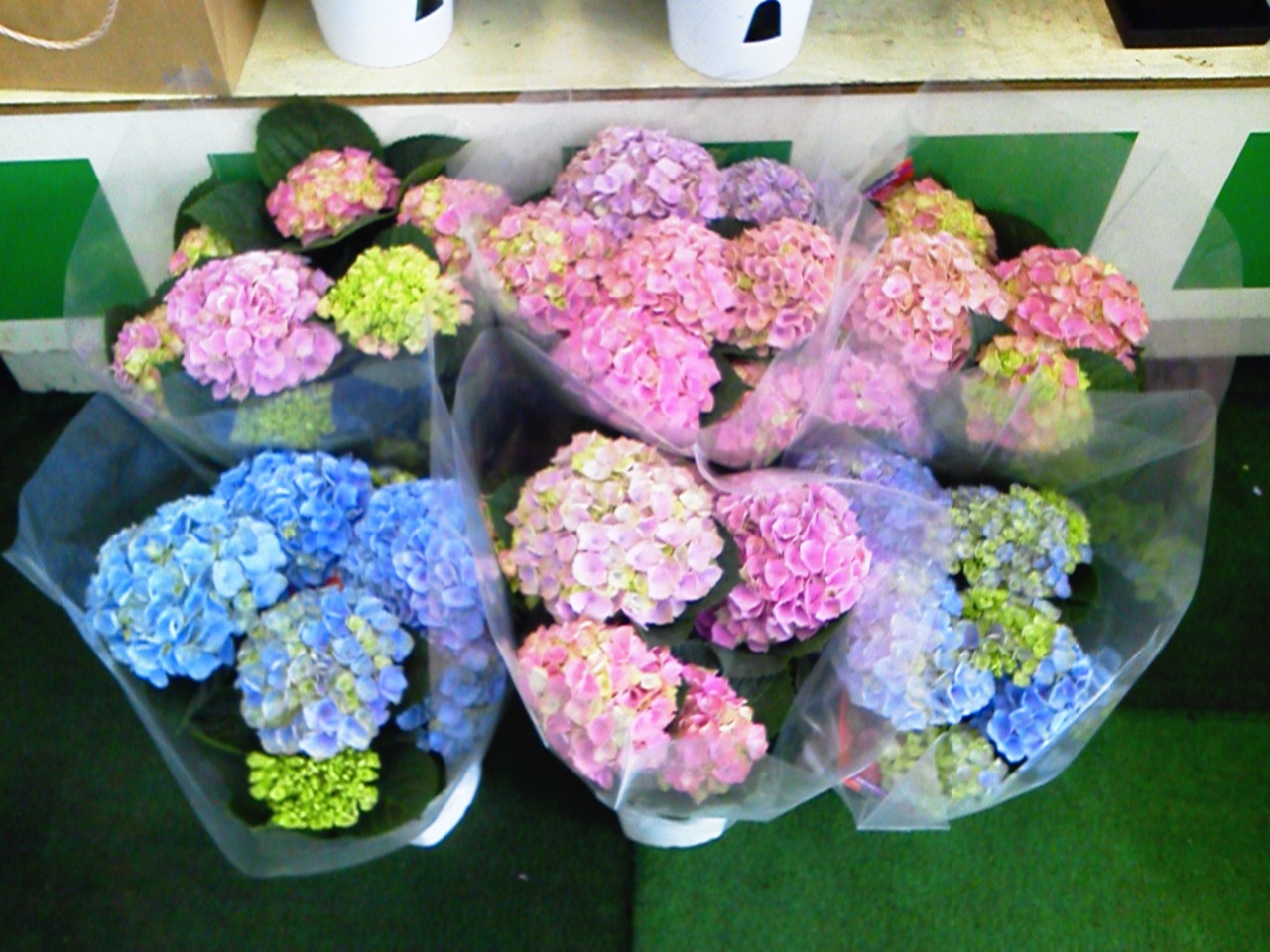 d0156909_1431371.jpg