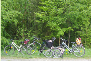 c0047812_6234550.jpg