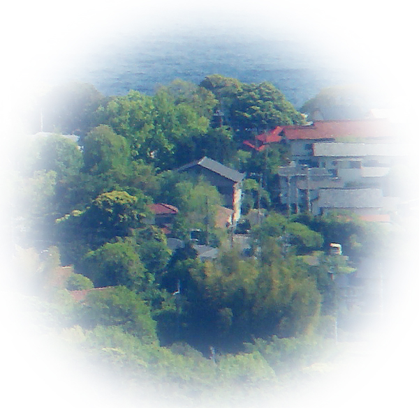 e0034012_13132025.jpg
