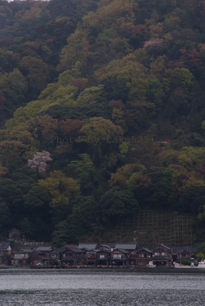 小雨降る伊根　　伊根・舟屋の街　３_a0114815_6112747.jpg