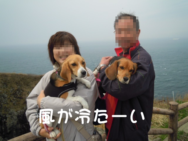 c0166622_13275785.jpg
