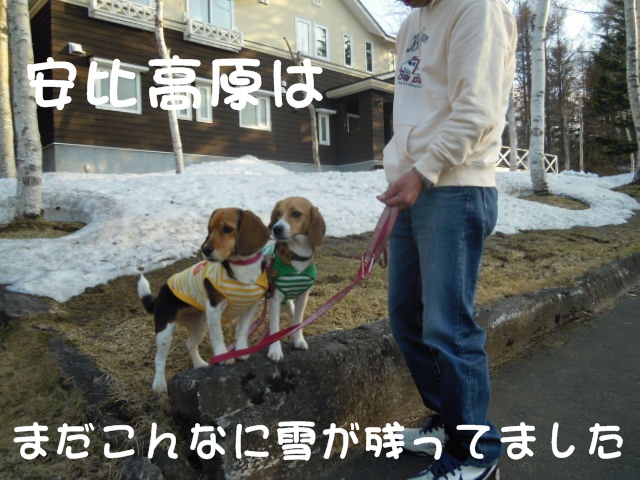 c0166622_133083.jpg