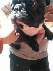 f0232522_15163962.gif