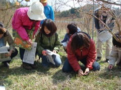 4月24日(日) トトラボ共催のWS、無事終了しました。_c0123523_10442468.jpg