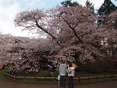 b0147224_21254234.jpg