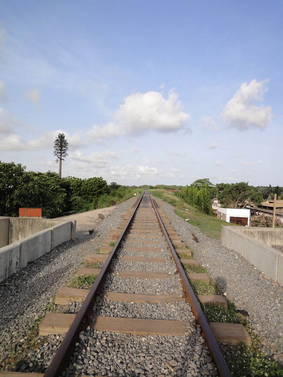 b0207724_5165523.jpg