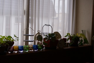 f0170524_14261916.jpg