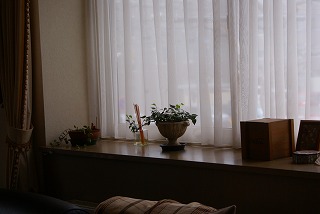 f0170524_14262787.jpg