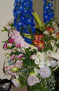 f0170524_1441644.jpg