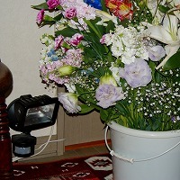 f0170524_1442882.jpg