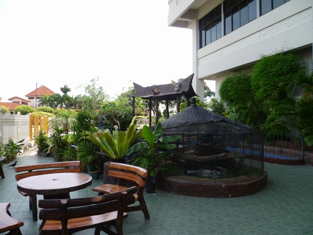 d0116625_1558523.jpg