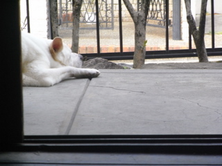 f0032125_20105399.jpg