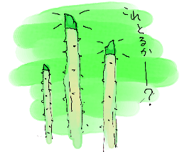 タラノメチェック_d0190828_6413934.gif