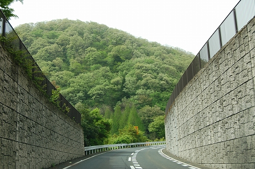 b0097729_102775.jpg