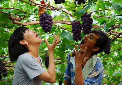 c0212929_21531246.gif