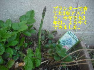 f0031037_20205083.jpg