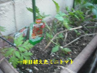 f0031037_2021530.jpg